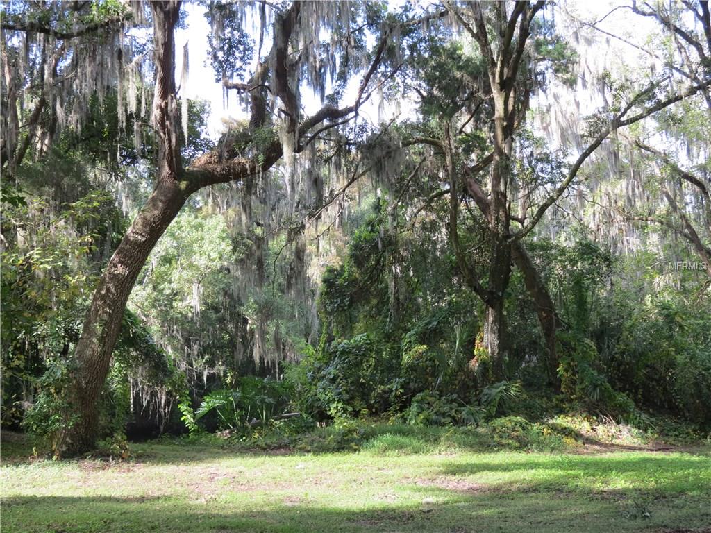 125  MOHAWK AVE ,DELAND,32724