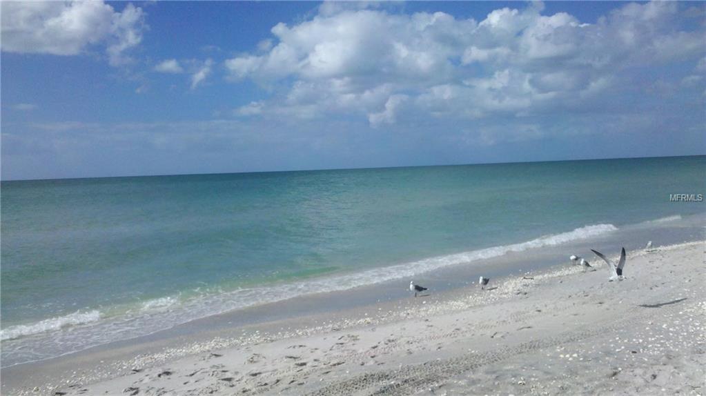 800 N TAMIAMI TRL  #1010,SARASOTA,34236